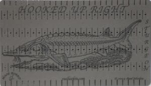 Sturgeon - Hook Cut - Leader Board