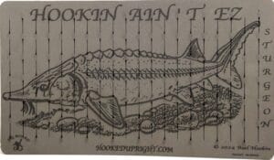 Sturgeon - Jig Cut - Leader Board