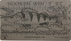 Perch - Hook Cut - Leader Board